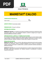 F.T. Mainstay Calcio