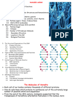 Unit 7 Nucleic Acids