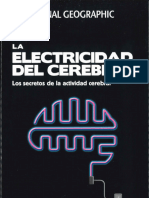 La Electricidad Del Cerebro