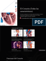 El Corazon Todas Las Caracteristicas