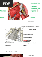 Canales y Triangulos Del MS