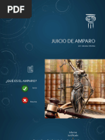 02 Juicio de Amparo