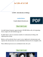 Cell Cycle