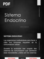 10 Sistema Endocrino