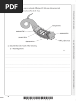 The Diagram Shows The Structure of An Ebola Virus