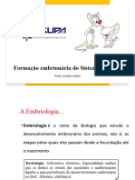 1 Formação Embriológica Do Sistema Nervoso