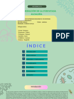 Determinación de La Fosfatasa Alcalina