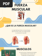 Fuerza Muscular