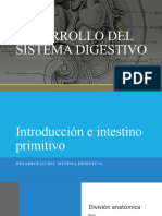 Desarrollo Del Sistema Digestivo 1