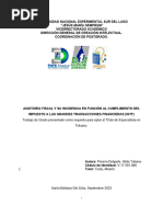 TG Auditoria Fiscal en Funcion Al Cumplimento Del Igtf Sept22 Al Jul23