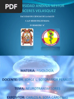 Neurotransmisores Fisiologia