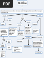 Mapa Conceptual de Las Proteinas 3