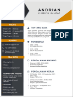 Andrian: Curriculum Vitae