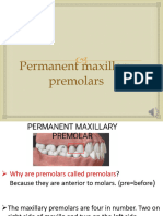 Permanent Maxillary Premolars