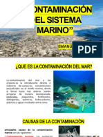 La Contaminación Del Sistema Marino