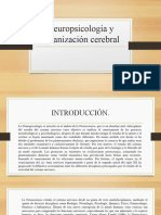 A.A.1.-Definición de Neuropsicología y Organización Cerebral.