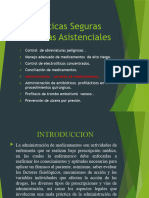 Practicas Seguras Técnicas Asistenciales