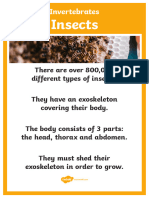 Invertebrates Display Posters