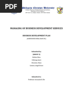 Business Development Plan (Group 3)