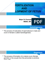 Fetus Development From Conception To Birth Part2