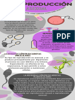 Infografia