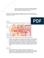 Seminário Medicina Do Trabalho