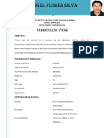 Curriculum Vitae