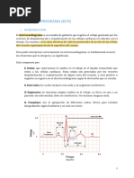 Electrocardiograma (Ecg) : 1. Introducción