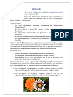 Biologia Plantas