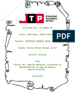Actividad 10 - Individuo y Medio Ambiente