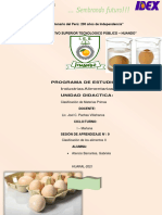 PDF Documento