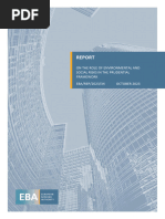 Report On The Role of Environmental and Social Risks in The Prudential Framework