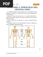 Semana 2 Huesos Cara y Craneo