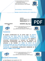 3 Exposicion Laminas El Amparo Constitucional Trabajo Grupal Definitivo