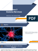 Tema 2. Sistema Nervioso