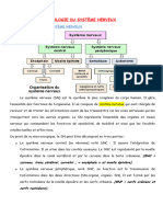 Anatomie Et Physiologie Du Système Nerveux-1