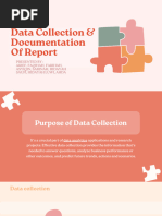 Data Collection & Documentation of Report