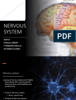 2021 Fohp Nervous System