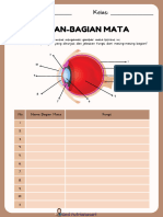 LKPD Bagian Mata & Fungsinya