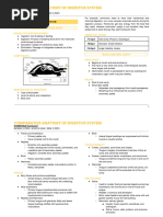 (Compana) Digestive System