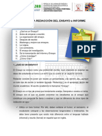 GUÍA PARA LA REDACCIÓN DEL ENSAYO e INFORME 2022