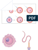 NFP RD Visual Aid