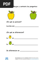 Semejanzas y Diferencias