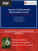 Fitoterapia - Enf. Cardiovasculares (B)