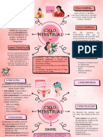 Ciclo Menstrual