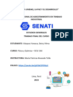 Trabajo Final Fisica Química DVY