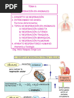 Presentación Respiratorio