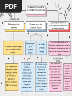 Mecanismos Molecular de La Contracción Muscular