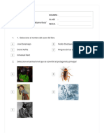 Evaluación Del Libro - La Metamorfosis - 4