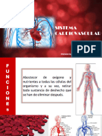 Sistema Cardiovascular